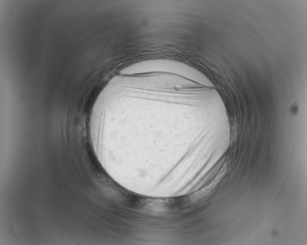 X0000116370182201001131755