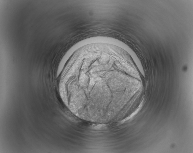 X0000116370186201001131755