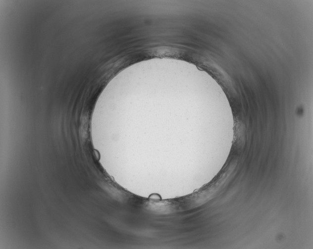 X0000116370189201001131755