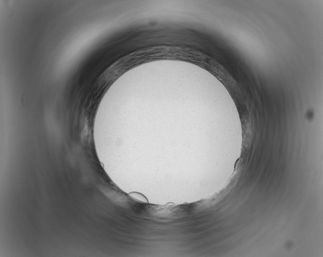 X0000116370191201001131755