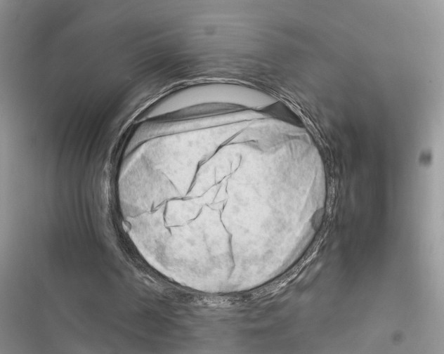 X0000116370194201001131754