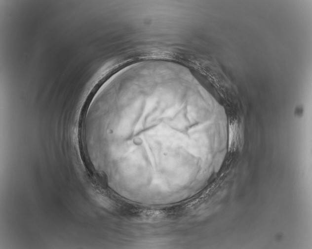 X0000116370195201001131754