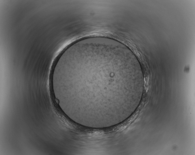 X0000116370196201001131754