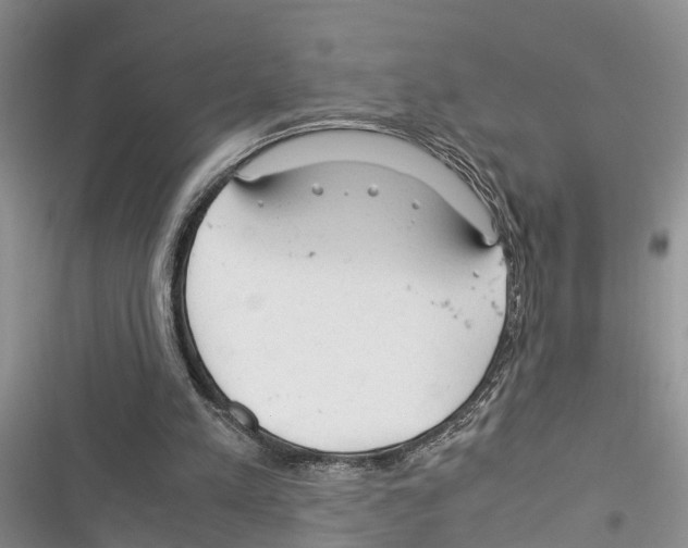 X0000116370197201001131754