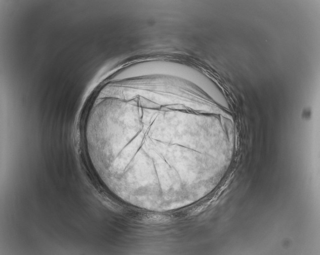 X0000116370198201001131754