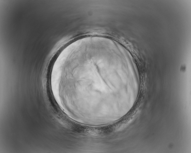 X0000116370199201001131754