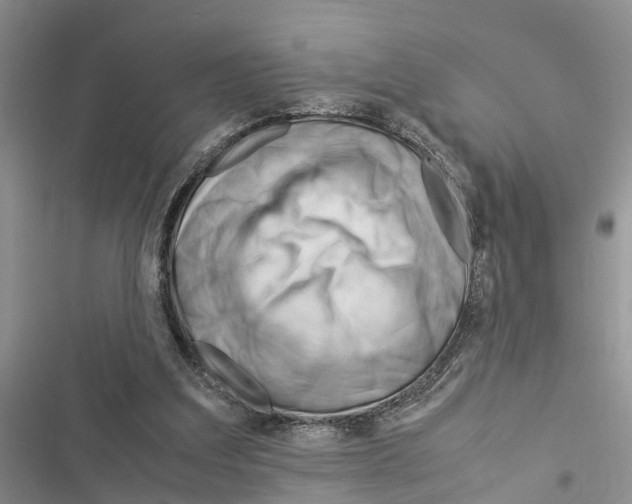 X0000116370203201001131754