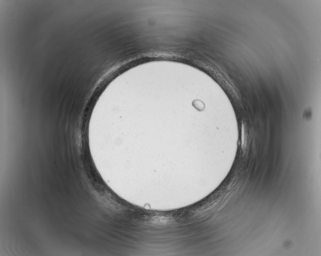 X0000116370204201001131754