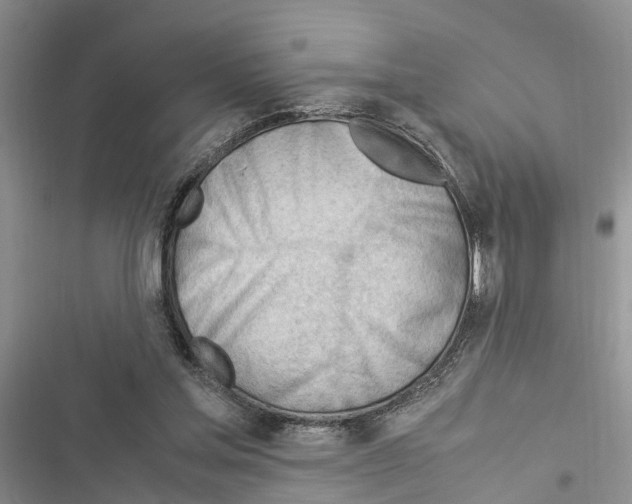 X0000116370205201001131754