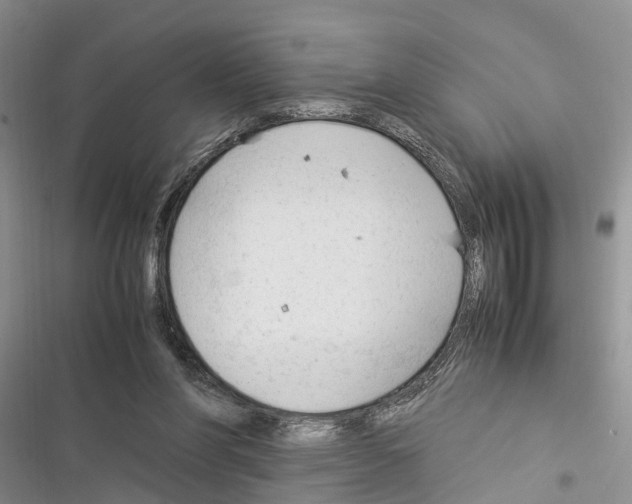 X0000116370206201001131754