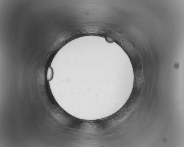 X0000116370207201001131754