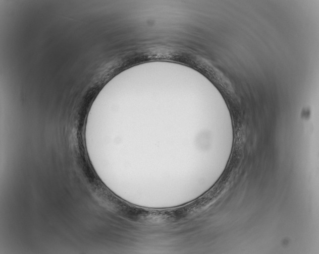 X0000116370209201001131754