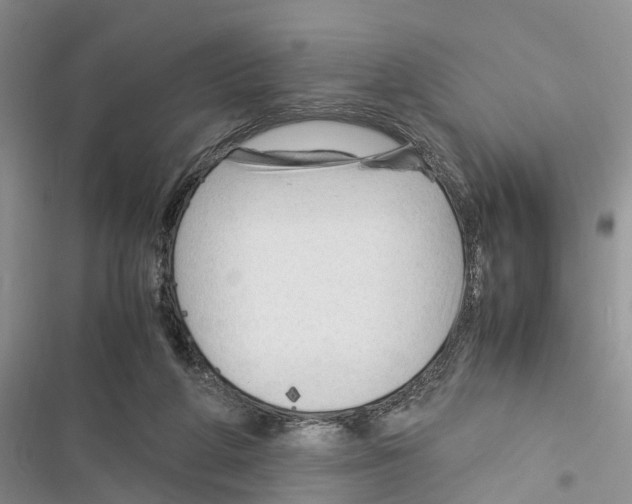 X0000116370210201001131754