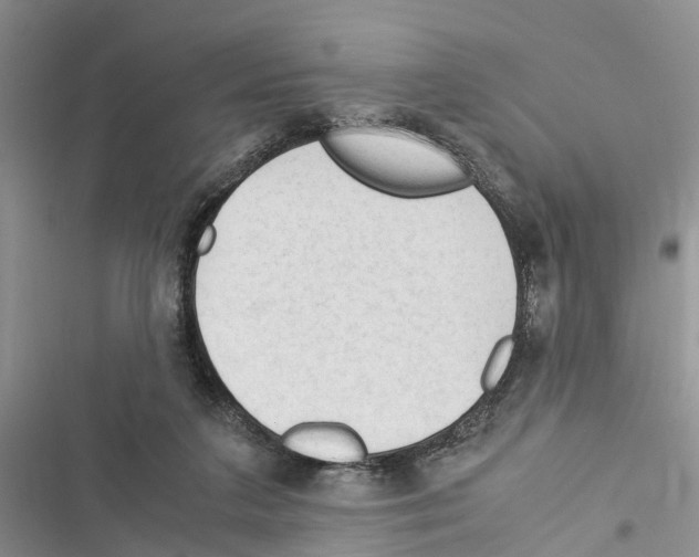 X0000116370211201001131754