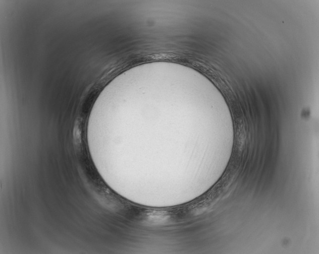 X0000116370214201001131754