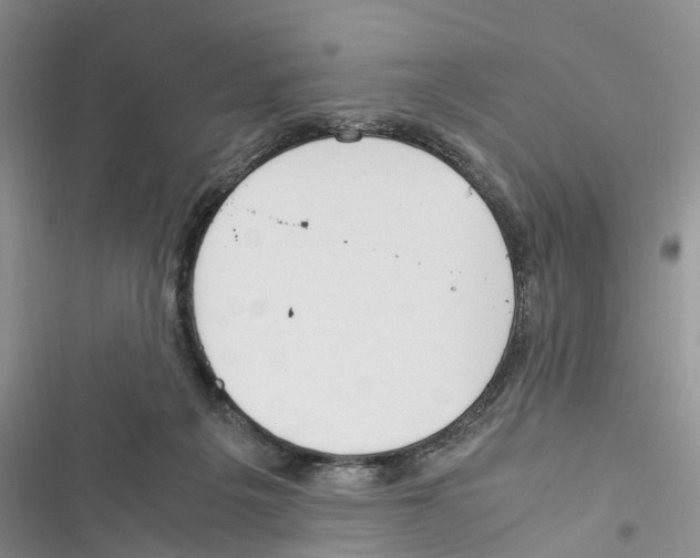 X0000116370217201001131754