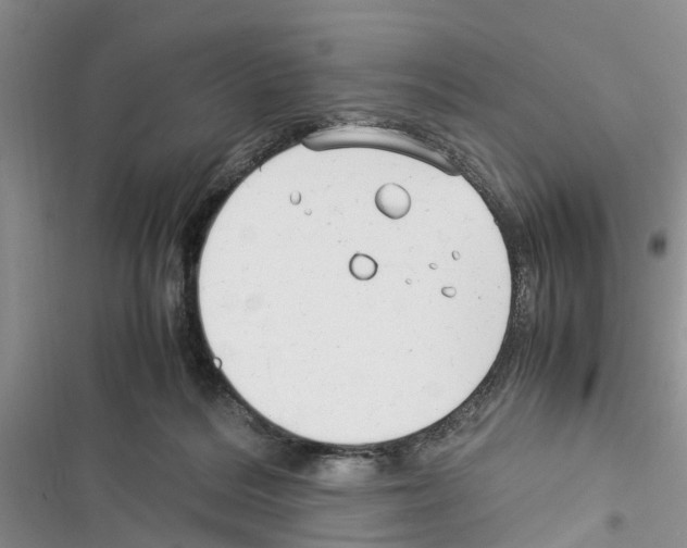 X0000116370220201001131754