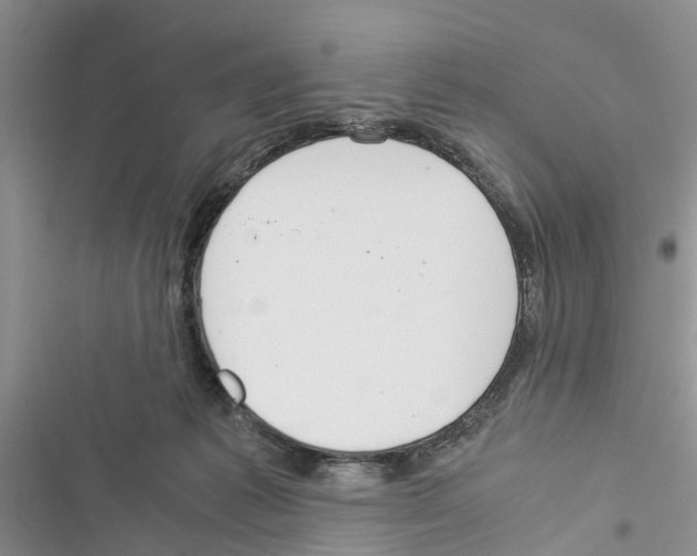 X0000116370221201001131754