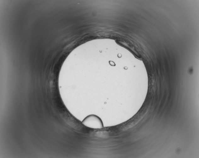 X0000116370228201001131754