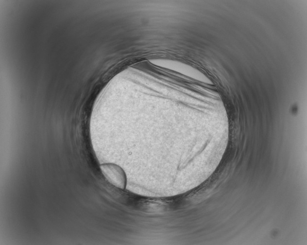 X0000116370229201001131754