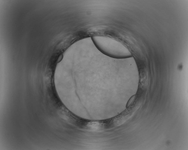 X0000116370231201001131754