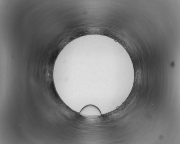 X0000116370234201001131754