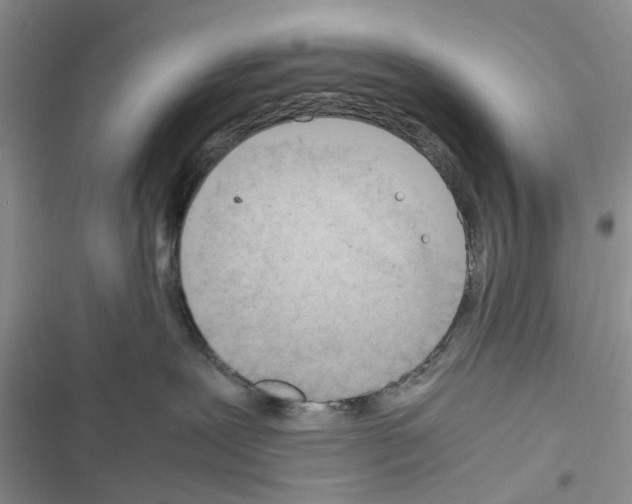 X0000116370239201001131754