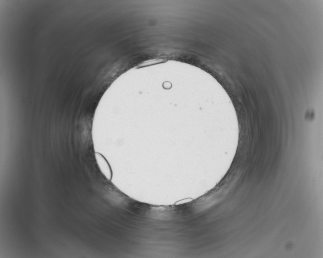 X0000116370240201001131754