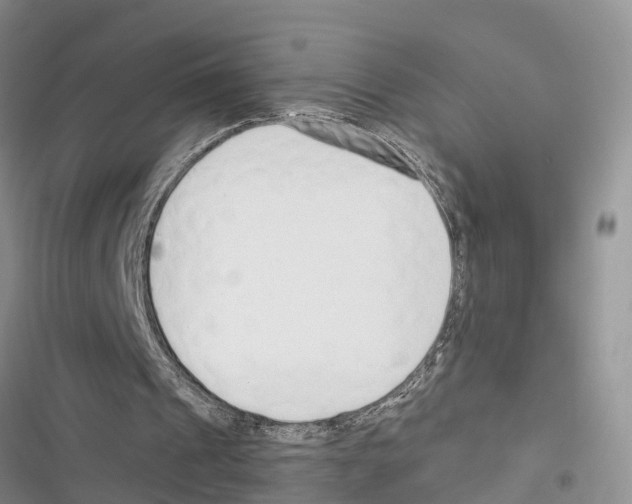 X0000116370241201001131753