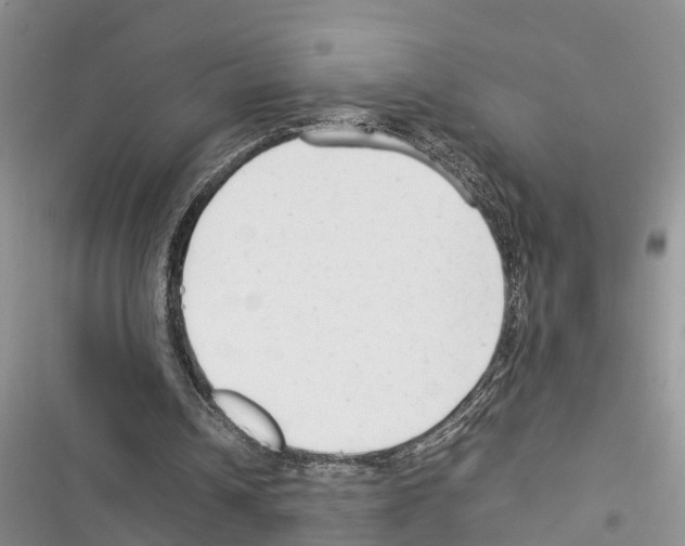 X0000116370242201001131753