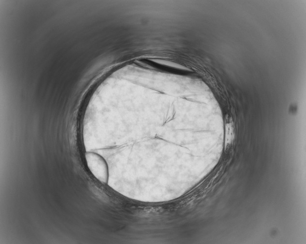 X0000116370243201001131753