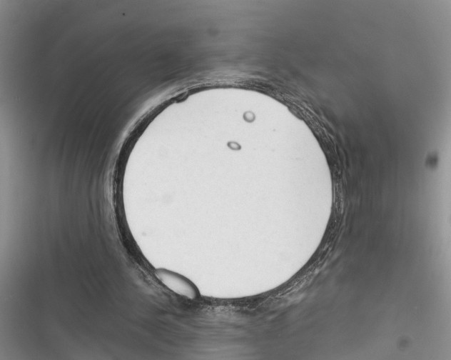 X0000116370244201001131753