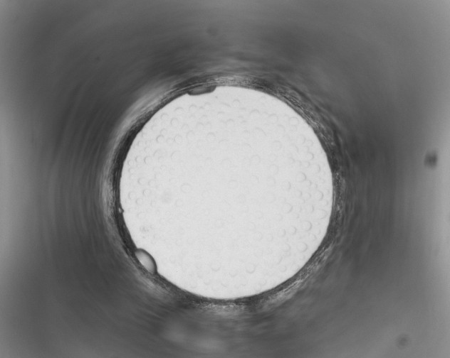 X0000116370245201001131753