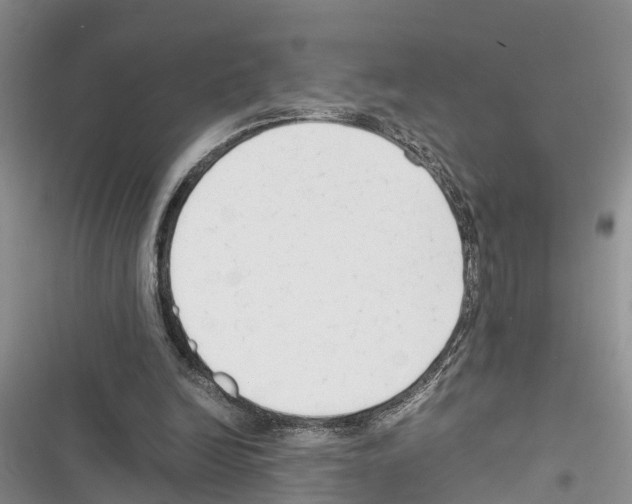 X0000116370246201001131753