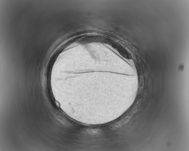 X0000116370247201001131753