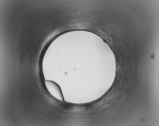 X0000116370248201001131753