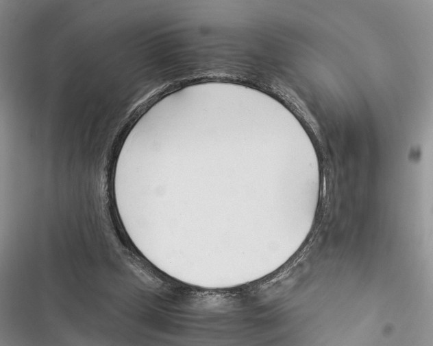 X0000116370249201001131753