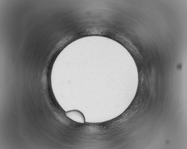 X0000116370250201001131753