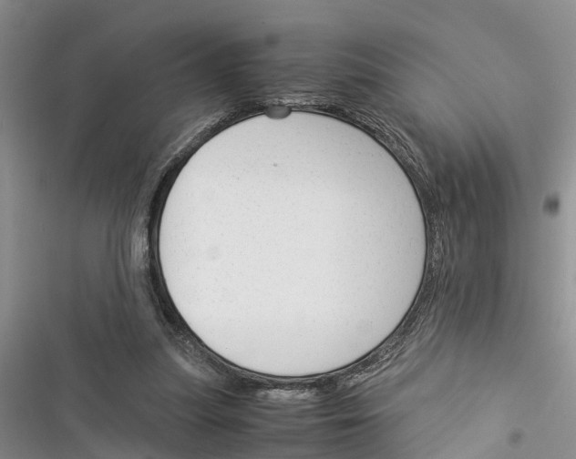 X0000116370251201001131753