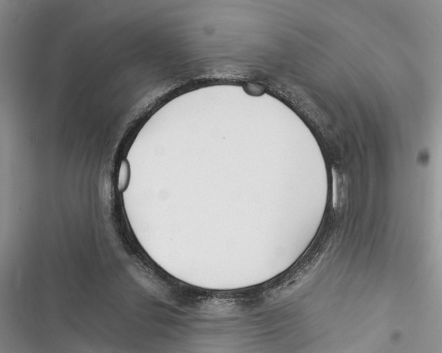 X0000116370252201001131753