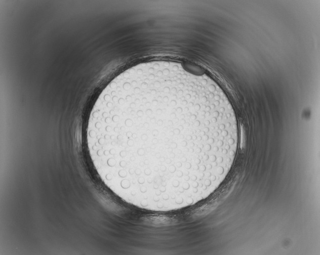 X0000116370253201001131753