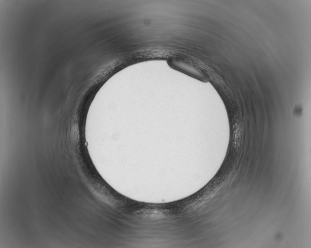 X0000116370254201001131753