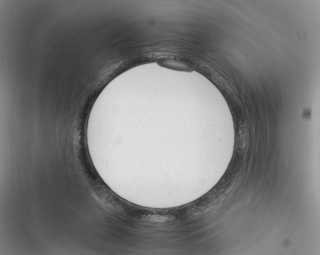 X0000116370255201001131753