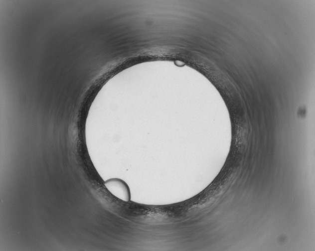 X0000116370256201001131753