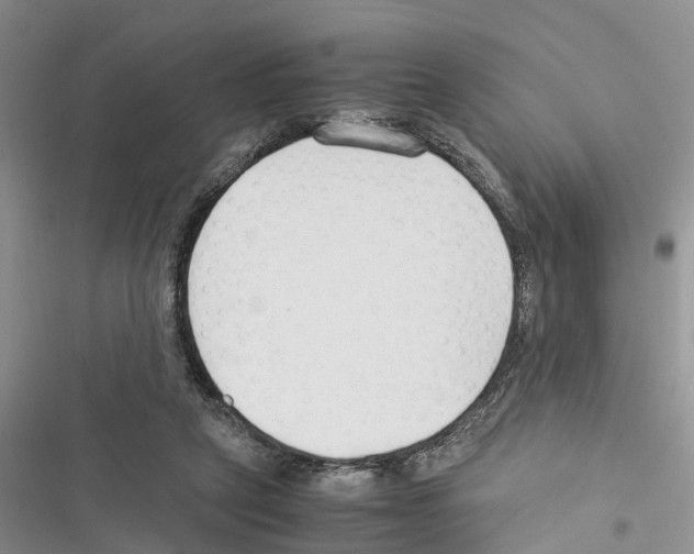 X0000116370257201001131753