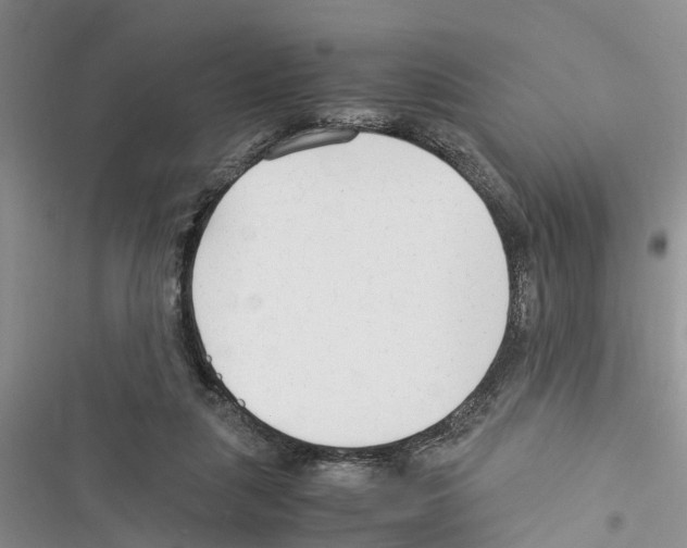 X0000116370259201001131753