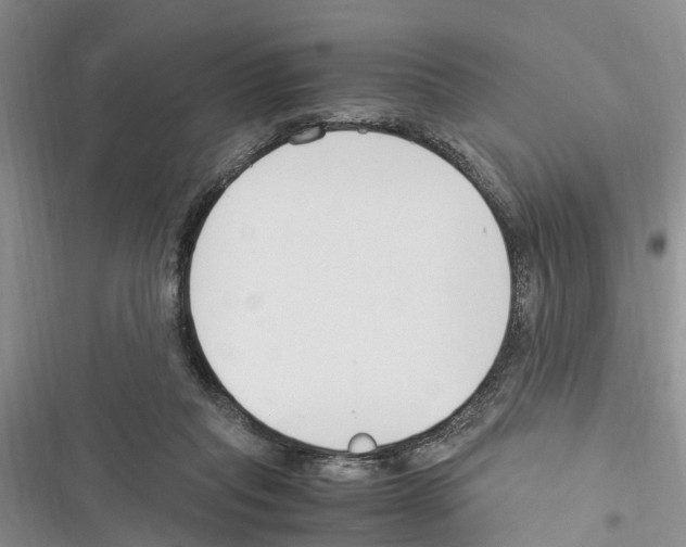 X0000116370261201001131753