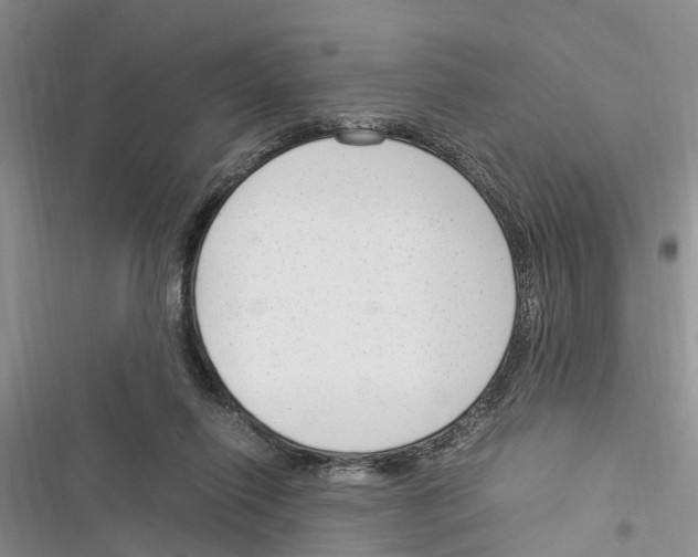 X0000116370262201001131753