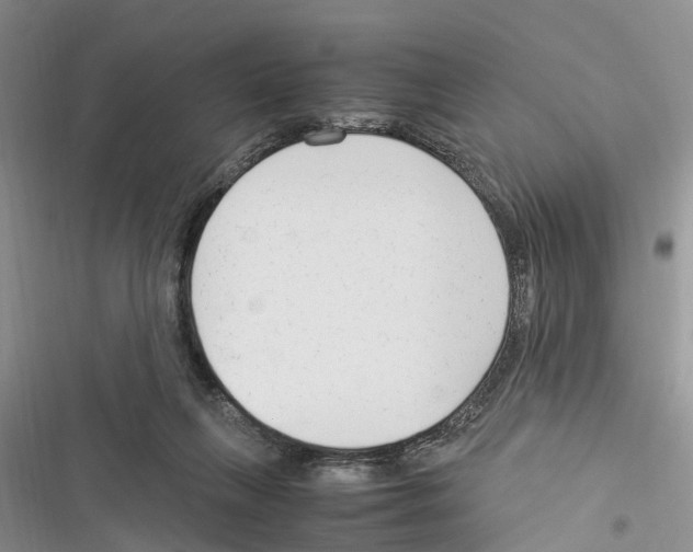 X0000116370263201001131753