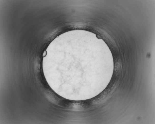 X0000116370264201001131753